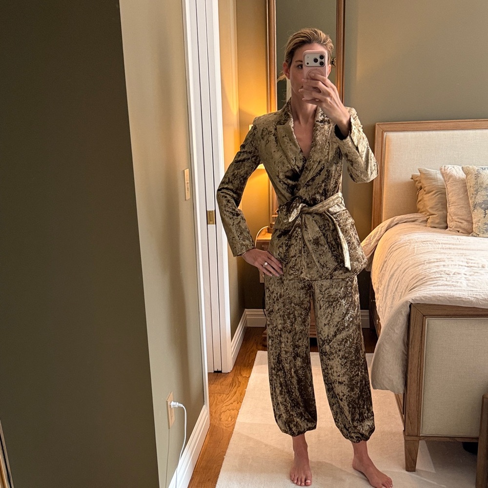 BNWT Full Set Zara Velvet Blazer and Balloon Pant (Size XS) - Picture 1 of 5